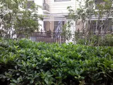 交通方便 小区位置好 ,采光充足,三房飞机户型