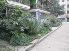 安迪苑 4室2厅 东南