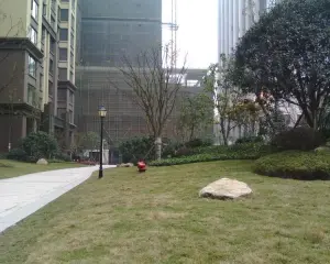 协信中心 3室2厅 东南