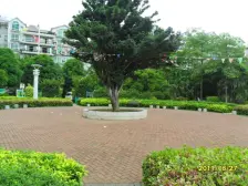 楼中楼6房,带大露台,大房间。东边户无西晒