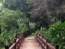 人和 金科天湖美镇四房505万