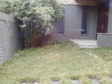 看江看湖临崖大独栋 视野开阔 户型方正 带电梯