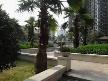 双地铁口2/6号线,精装小三房,中高楼层,随时看房