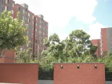 三林 · 万科金色雅筑 · 3室 · 2厅