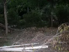 童家溪 中安翡翠湖传说一四房190万