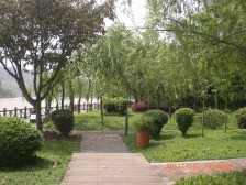 独栋 带大花园300平米 视野开阔 居家安静