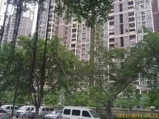 海景蓝湾 南区 中间位置 一楼 带花园 复式实用354方