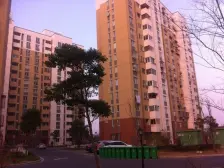 轨交9号线500米,新出凤凰楼层,精装一房,周边配套齐全。