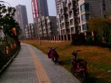 宝山区杨行万业紫*苑2室1厅