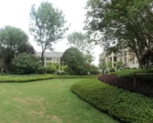 湿地电梯洋房大平层,边套,房东诚心出售