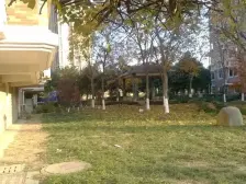 飞机户型,好楼层,全天采光,房东诚心!