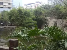 业主自住保养好 天然氧吧南湖公园