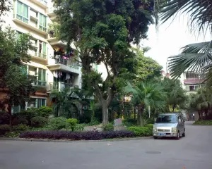 户型好 采光足 满五唯一 税费少