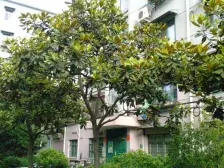 近地铁精装,产权清晰,无抵押新上房源