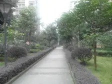 户型方正 业主诚心卖 出门就是轻轨公园商圈