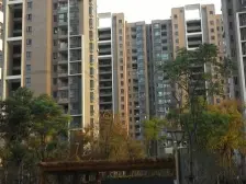 新上高楼层南北通,视野采光嘎嘎好,业主诚心卖!