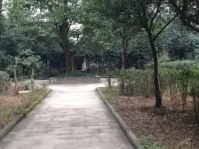 正规大三房 自住装修 拎包入住 居家安静 户型方正