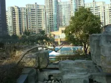 上海绿城 3室2厅2卫 南