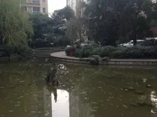 人和 富抱泉花园四房130万