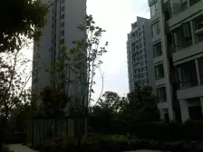 电梯房,刚需上车,采光好,必看好房