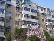 1.1大复式 新出新房源 小区一套