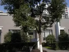 夏阳·新城盛景园(**)·3室·2厅