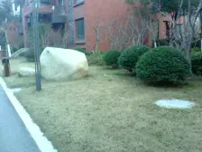 滴水湖馨苑一期 5室2厅 南