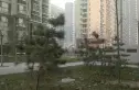 金域蓝湾实景图