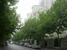 双南高区两房 无遮挡 小区温馨宜居 不沿马路 鸟语花香