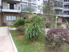 大龙西城新天地2室1厅2卫南朝向44.50万元/套出售