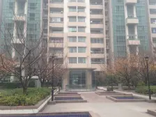 明星楼盘,出国处理资产,高区全明,有车位,视野棒