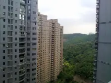 山景叠院 5室3厅 1450万