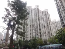 一手新房交付状态,一直空关,正看公园,小区无上户型