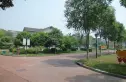 绿洲江南园别墅实景图