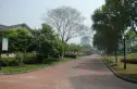 绿洲江南园别墅实景图