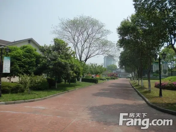 绿洲江南园别墅实景图