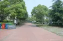绿洲江南园别墅实景图