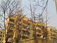 中间楼层两室户,南北通透。南面是公园视野好,近地铁