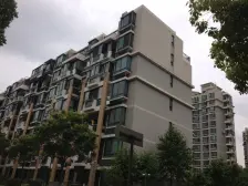 杨思前滩+次新商品房+三房两卫+电梯中高区