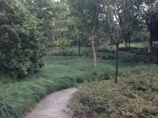 人和 金和苑三房150万