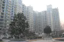 合生世界花园实景图