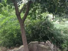 金和苑 2室1厅 东南