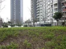 浒墅人家三区二室一厅,简装出租,诚心出售