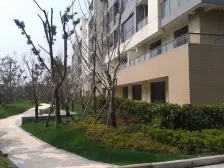 2012商品房+毛坯+次顶楼+视野很好的没有遮挡