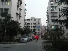 曹杨五村(南杨园) 1室1厅 南