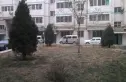 宝龙苑小区实景图