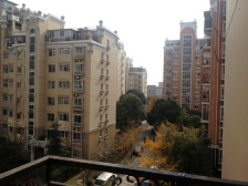 上海春城白玉兰户型三房,南北圆弧厅设计新上好房