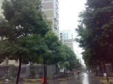 浦江世博家园八街坊1室南朝向230.00万元/套出售