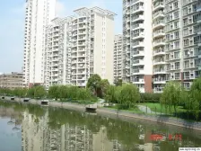 近日月光 低总价大三房 满五年 有花园阳光好 户型好