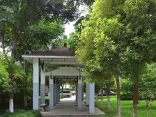 电梯房无抵押现场实勘新上房源